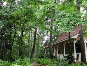 picture of trees shading house